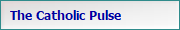 The Catholic Pulse